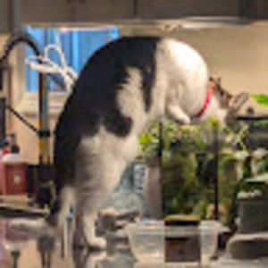 Meet your Posher, Beth